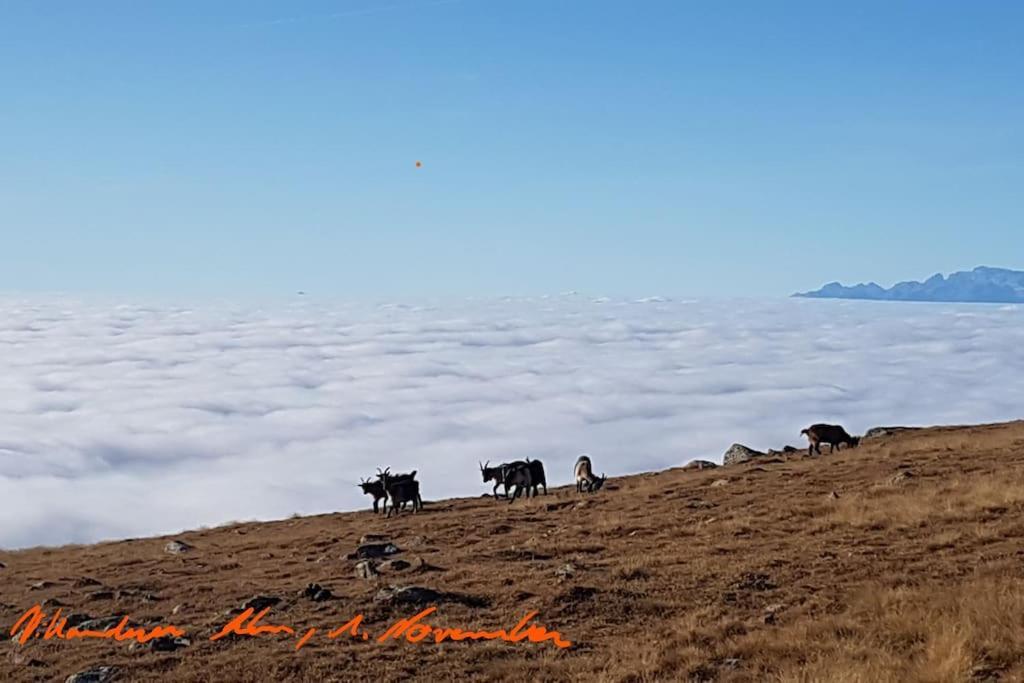 Dolomiten View - South Tyrol Villandro Εξωτερικό φωτογραφία